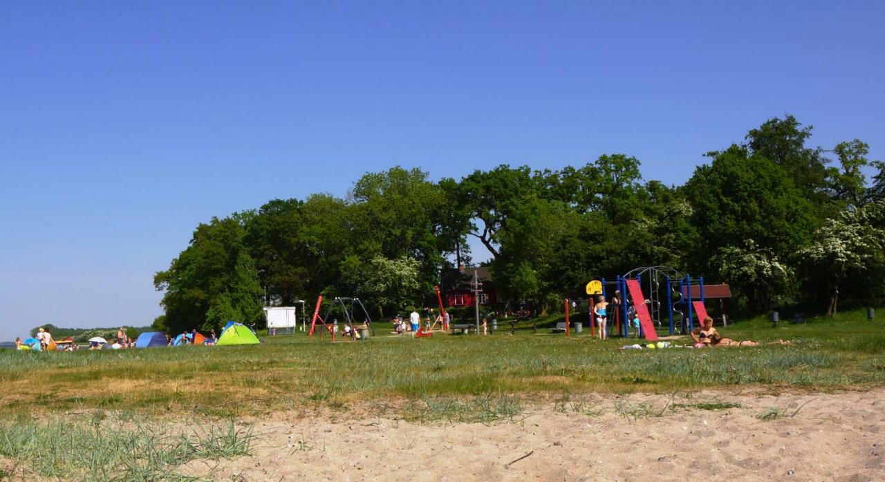 Strandmuschel Am Ostseestrand *