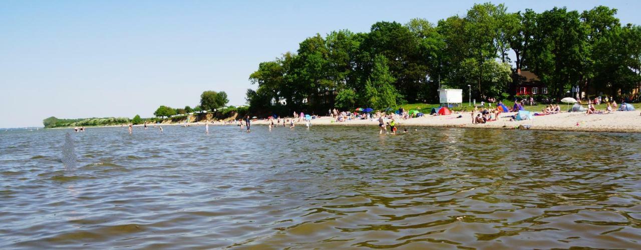 Strandmuschel Am Ostseestrand Zierow
